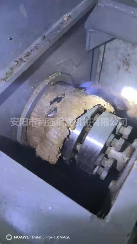 198動物油螺旋榨油機(jī)